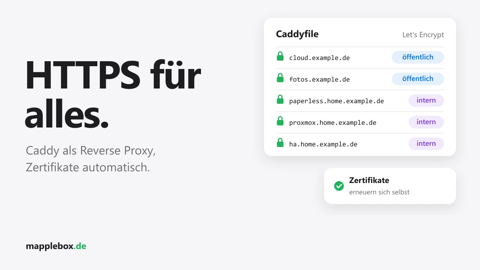 Caddy als Reverse Proxy im Homelab: Automatisches HTTPS für öffentliche und interne Dienste | MappleBox