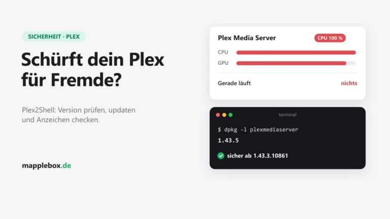 Plex-Server mit 100 Prozent CPU und Versionscheck im Terminal